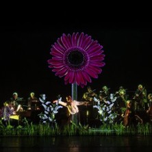 Image aléatoire d'événement